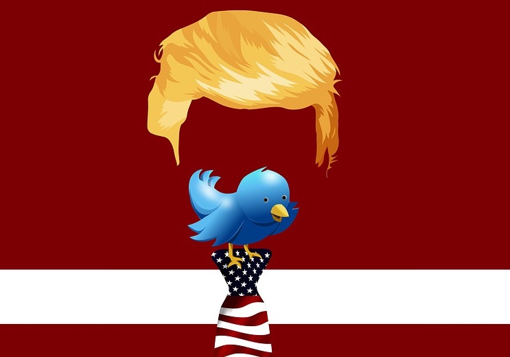 Twitter пометил пост Трампа о «воровстве выборов» как дезинформацию