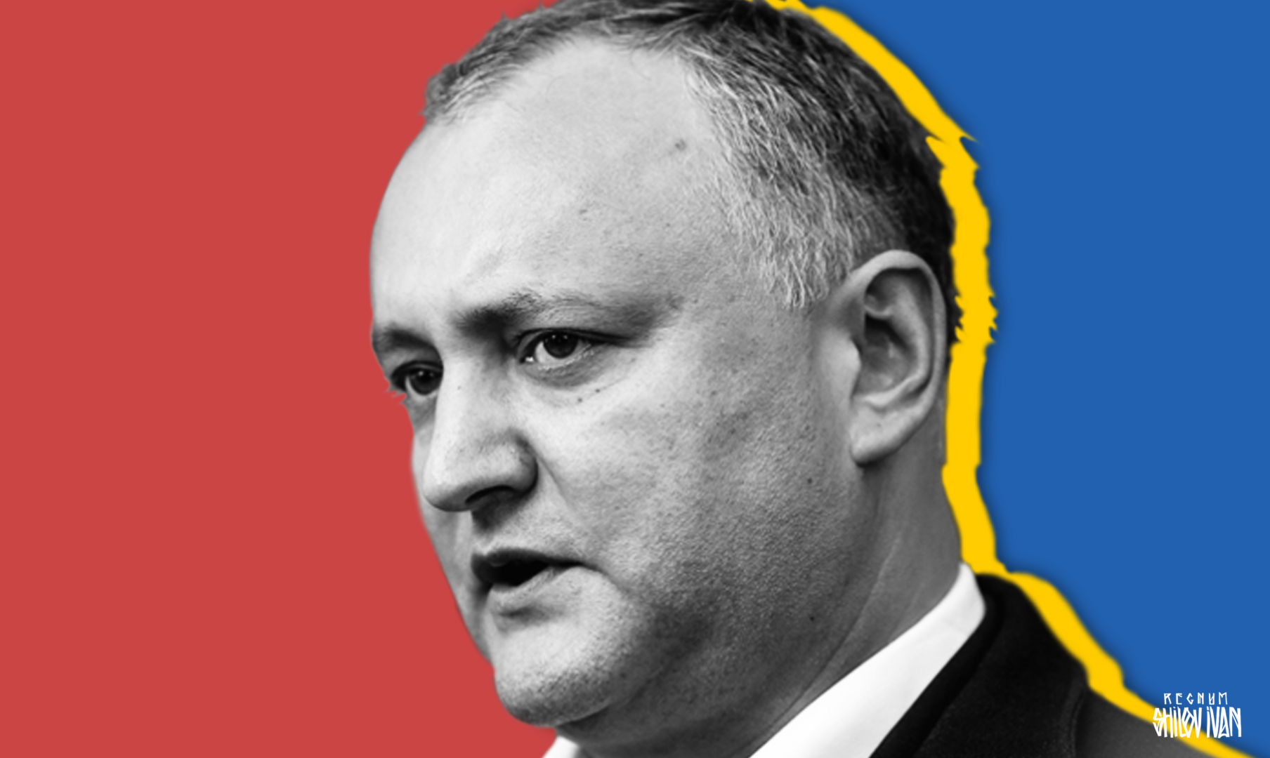 Додон: граждан Молдавии в ЕС организованно свозили на избирательные участки