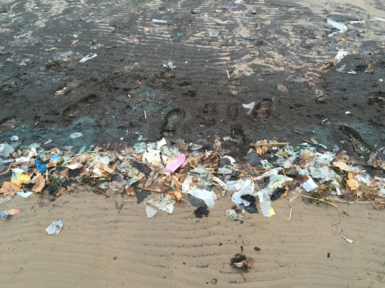 Пляж парка «Дубки» в Сестрорецке чистят от мусора