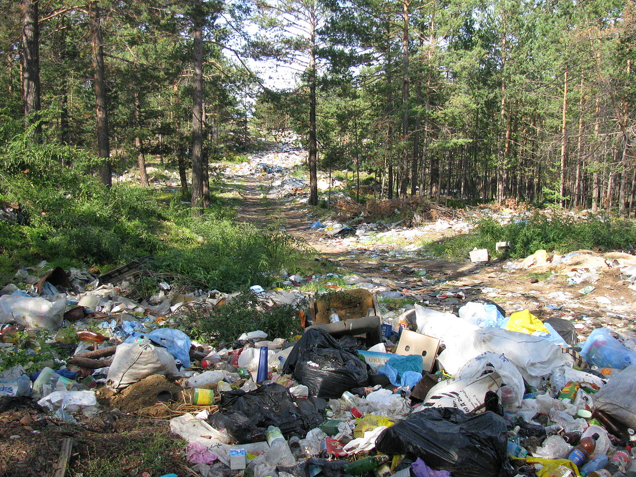 Сотни тысяч тонн мусора остаются на территории вокруг Байкала