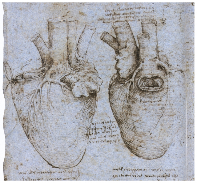 Леонардо да Винчи. Сердце и сосуды. 1500-1510