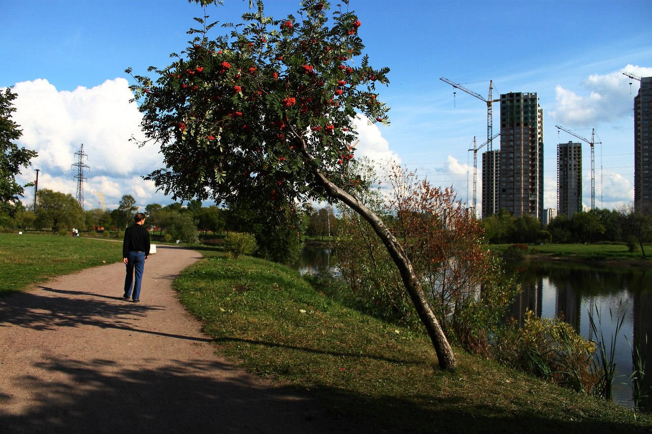 Защитники парка в Петербурге просят спикера ЗакСа возразить губернатору