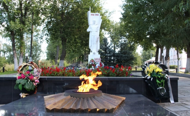 В Костромской области школьники забросали петардами Вечный огонь