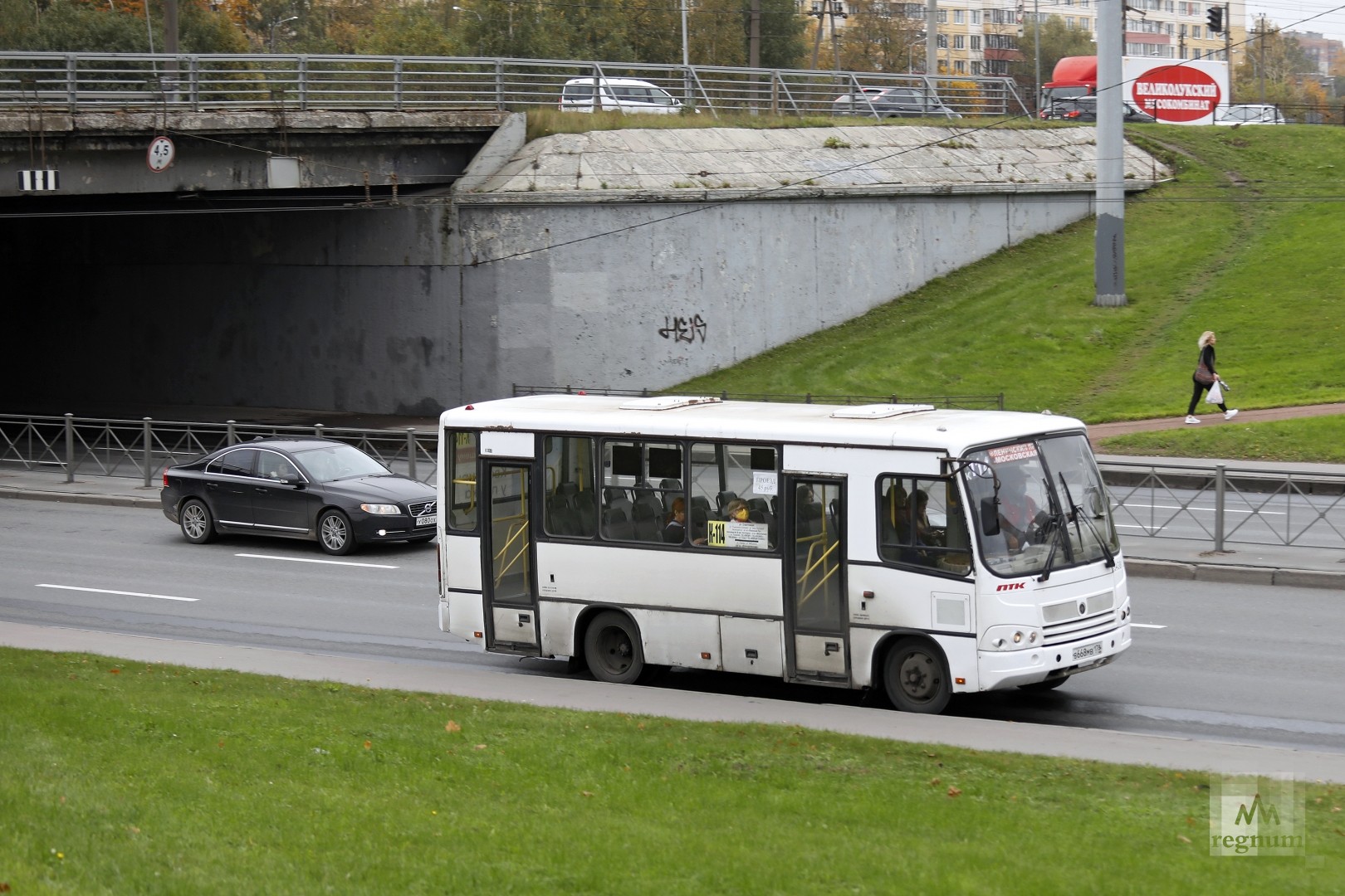 Водитель автобуса спб. Водитель автобуса Санкт Петербург. Пазик автобус в Питер. Автобус 54 СПБ. Маршрутка 521 СПБ.