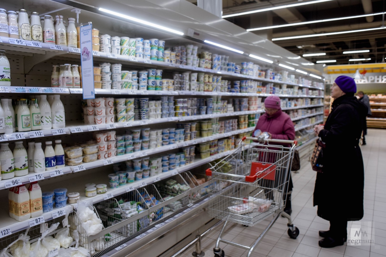 В России создадут систему мониторинга цен на социально значимые товары