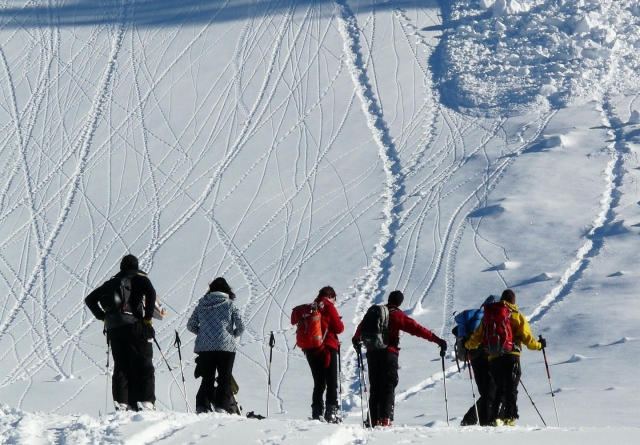 Из-за схода лавины в Иране погибли альпинисты