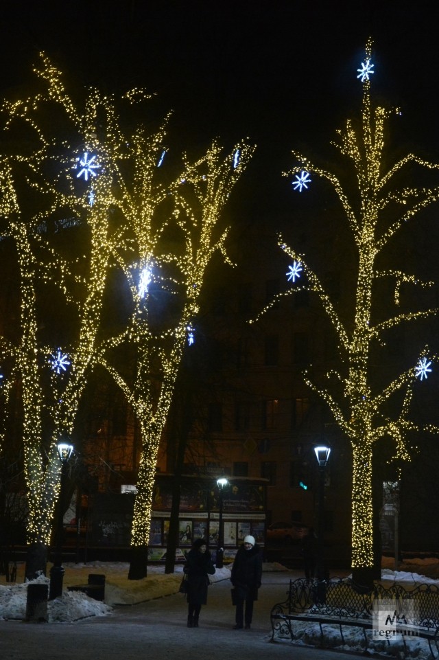Новый год в Нижнем Новгороде: Большой сквер
