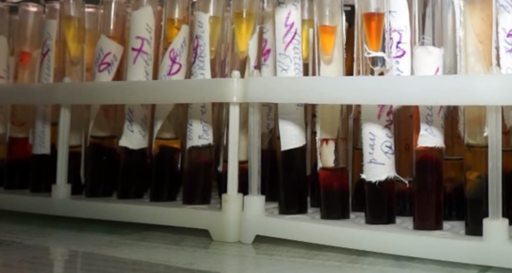В Калужской области за сутки выявили 167 носителей коронавируса