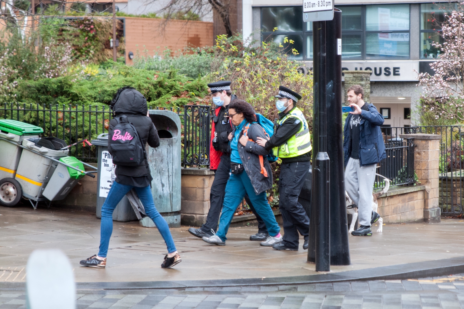 В Лондоне задержали участников митинга против карантина