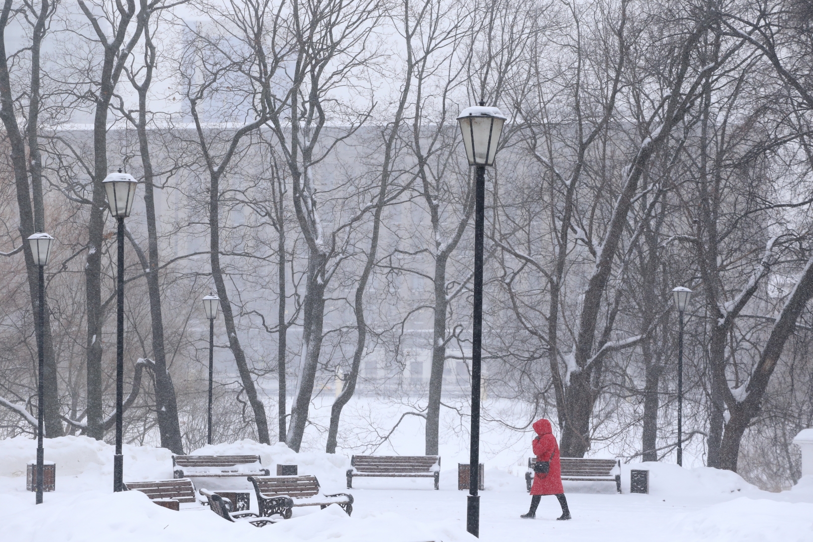 Снег в парке Москва