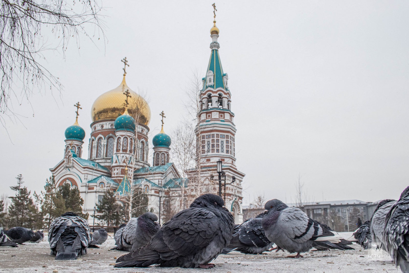 Потепление в омске