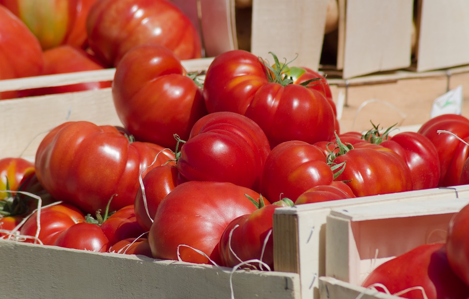 Россия частично снимает ограничения на ввоз томатов из Армении