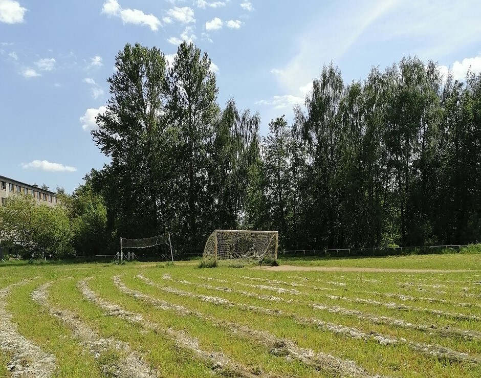 Костромичи хотят защитить спортивный стадион от застройки