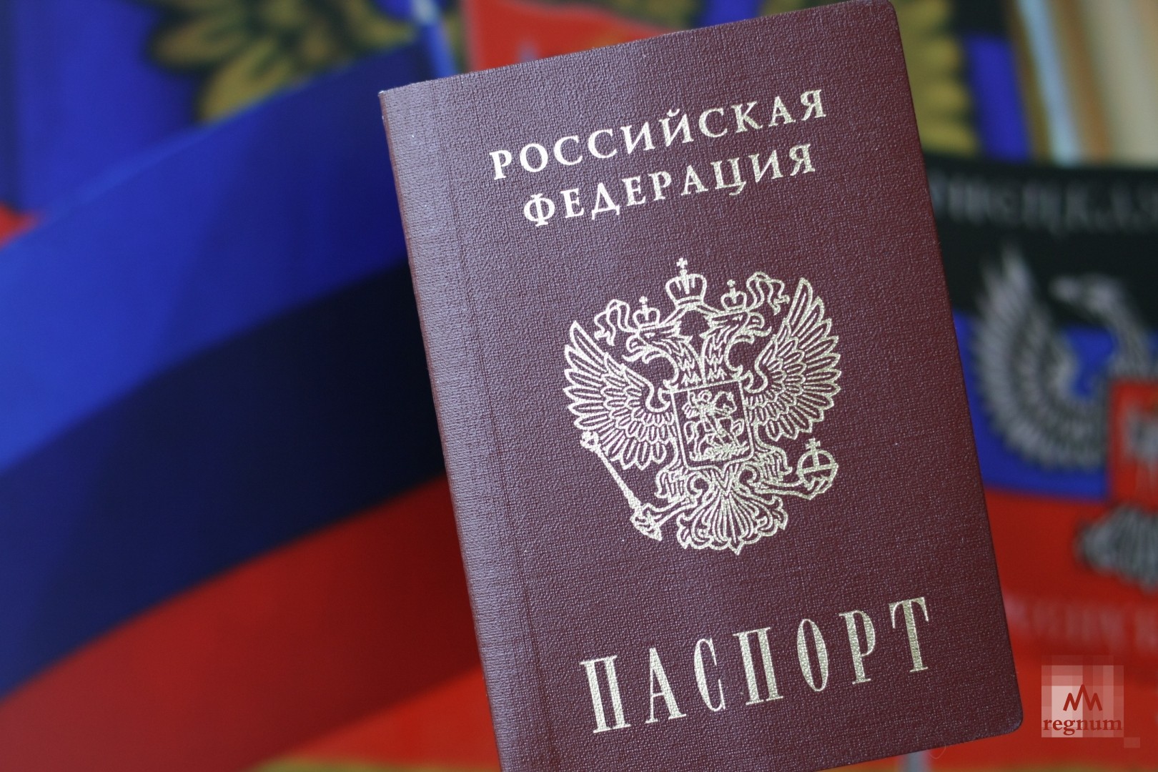 В ДНР назвали число людей, ставших гражданами РФ с начала 2021 года