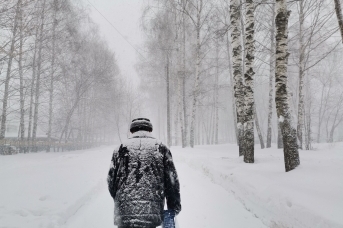 Во время снегопада