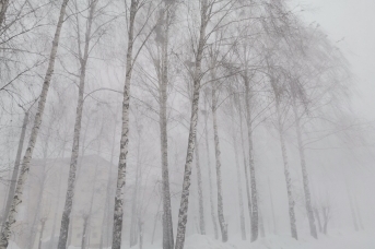 Снегопредставление в Чебоксарах