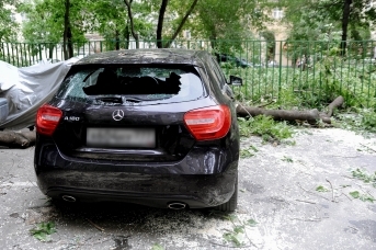 Разбитый деревом автомобиль 