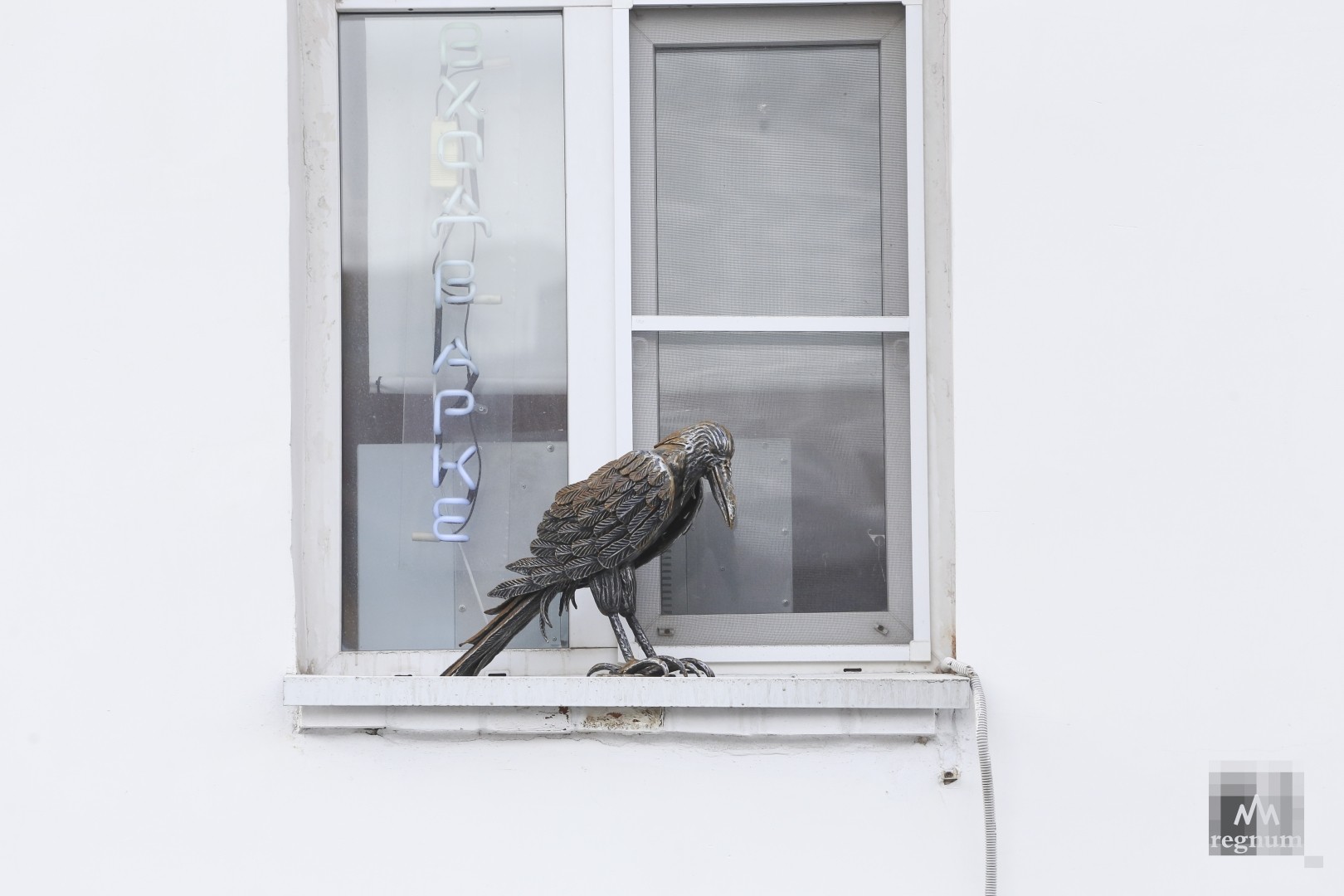 Ворона стучит в окно. Ворона стучит в окно к чему это. Переулок вороны в Москве. Фотографию где ворон стучится в окошко к детям.