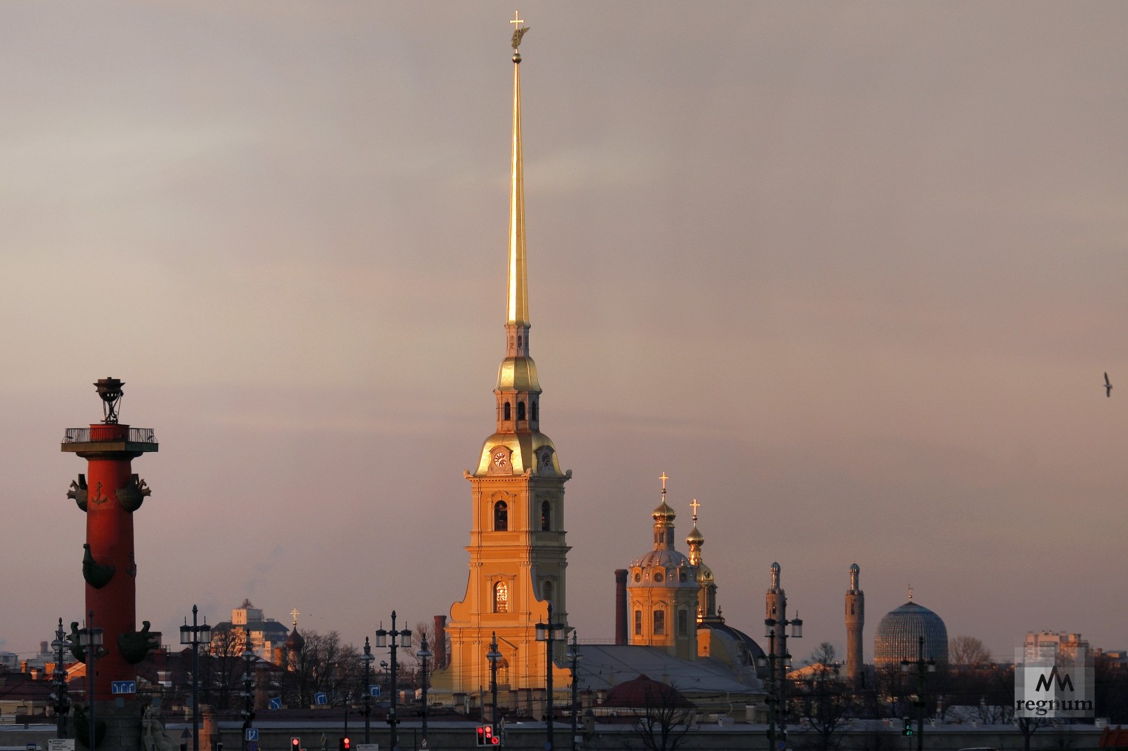 невская куртина петропавловской крепости