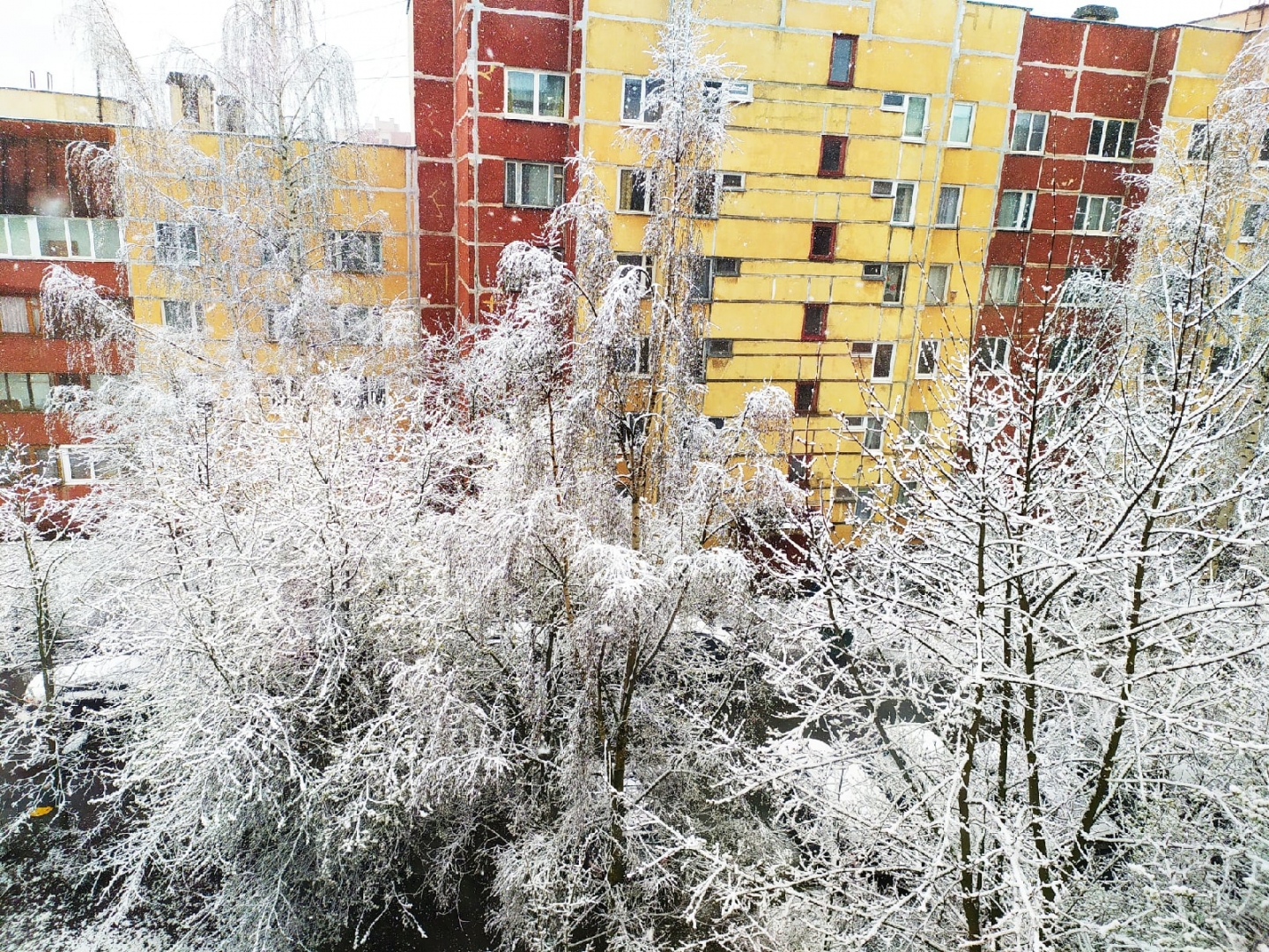 Фото Зима Вк