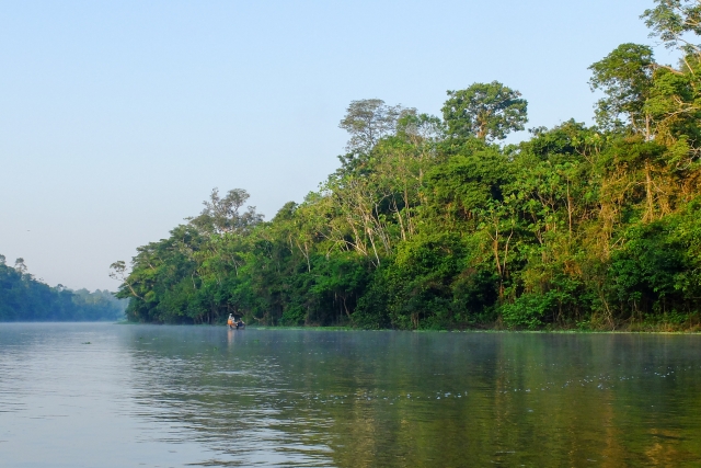 Леса Амазонии 