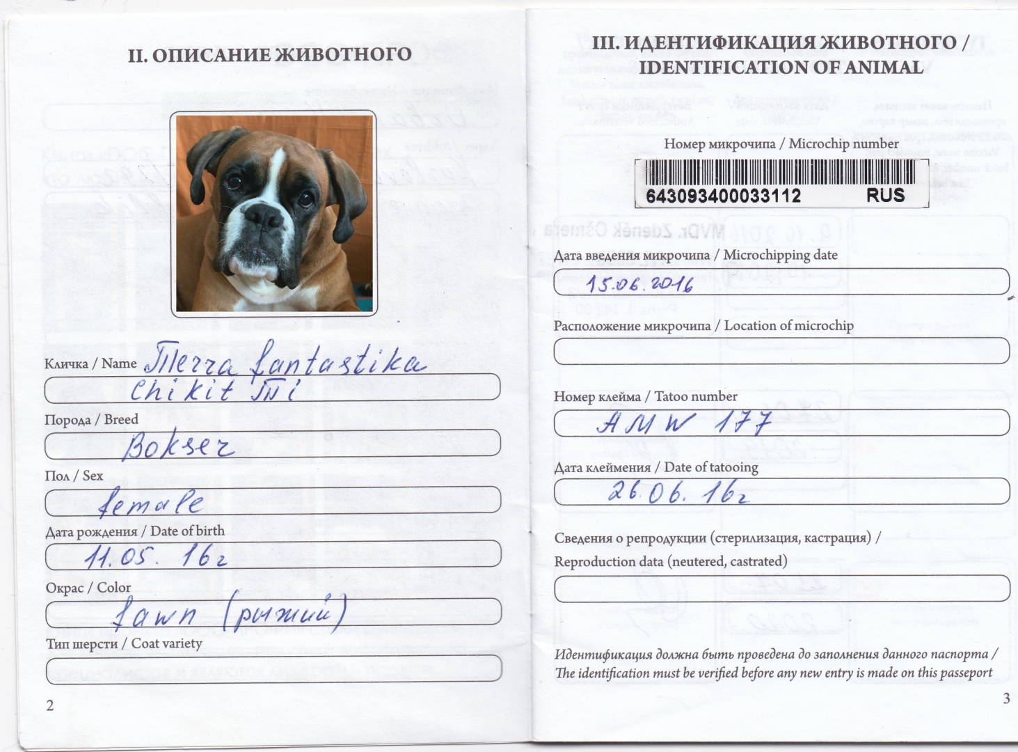Размер фото на паспорт животного требования