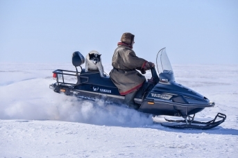 Тундровики в поисках оленей