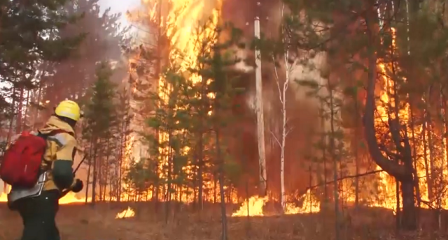 Цитата из видео Федеральные авиапожарные из Забайкалья и Бурятии переброшены на помощь в ликвидации лесных пожаров в Тюмень 