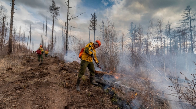 Тушение лесных пожаров в Тюменской области 