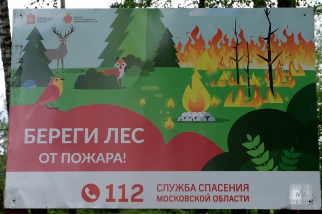 Плакаты «Берегите лес!»