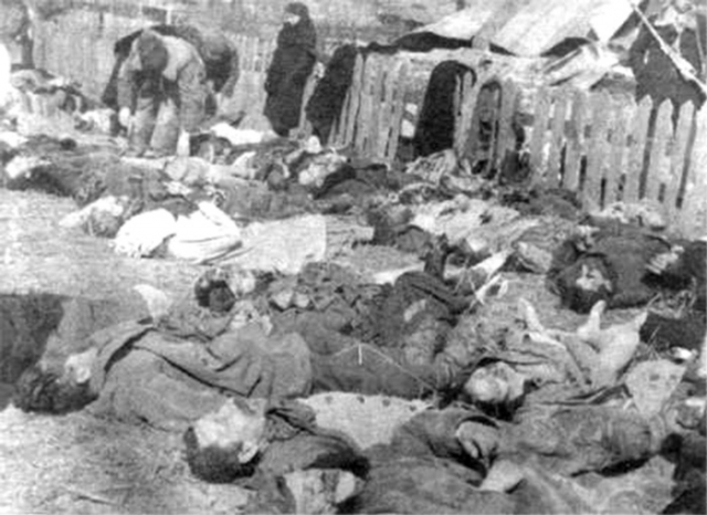Луцкое воеводство. Свезённые на идентификацию и похороны трупы поляков — жертв резни, 26 марта 1943