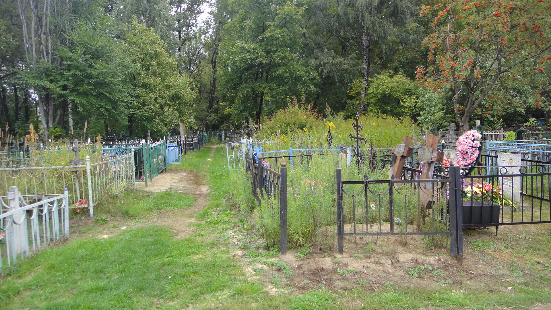 деревенское кладбище фото