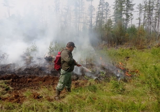Лесной пожар в Якутии 