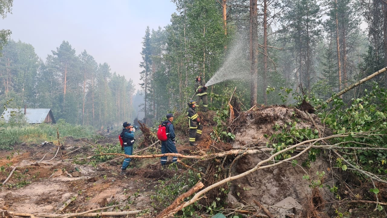 Лесные пожары в России (2021)Карелия