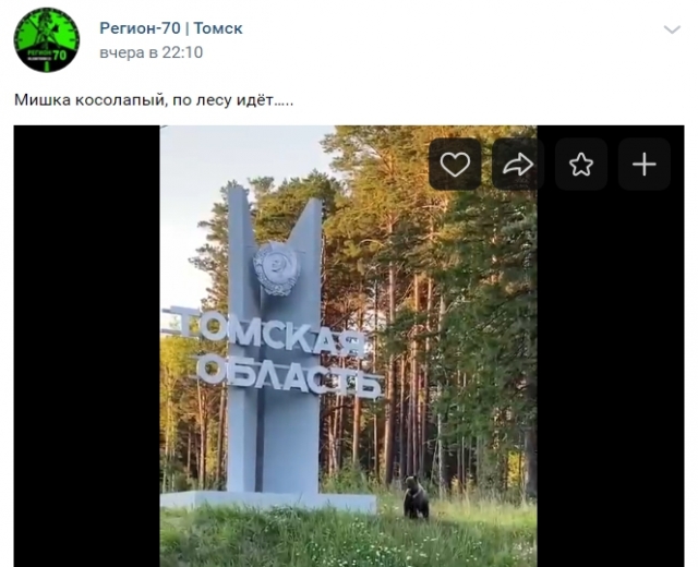 Медведь у стелы «Томская область»