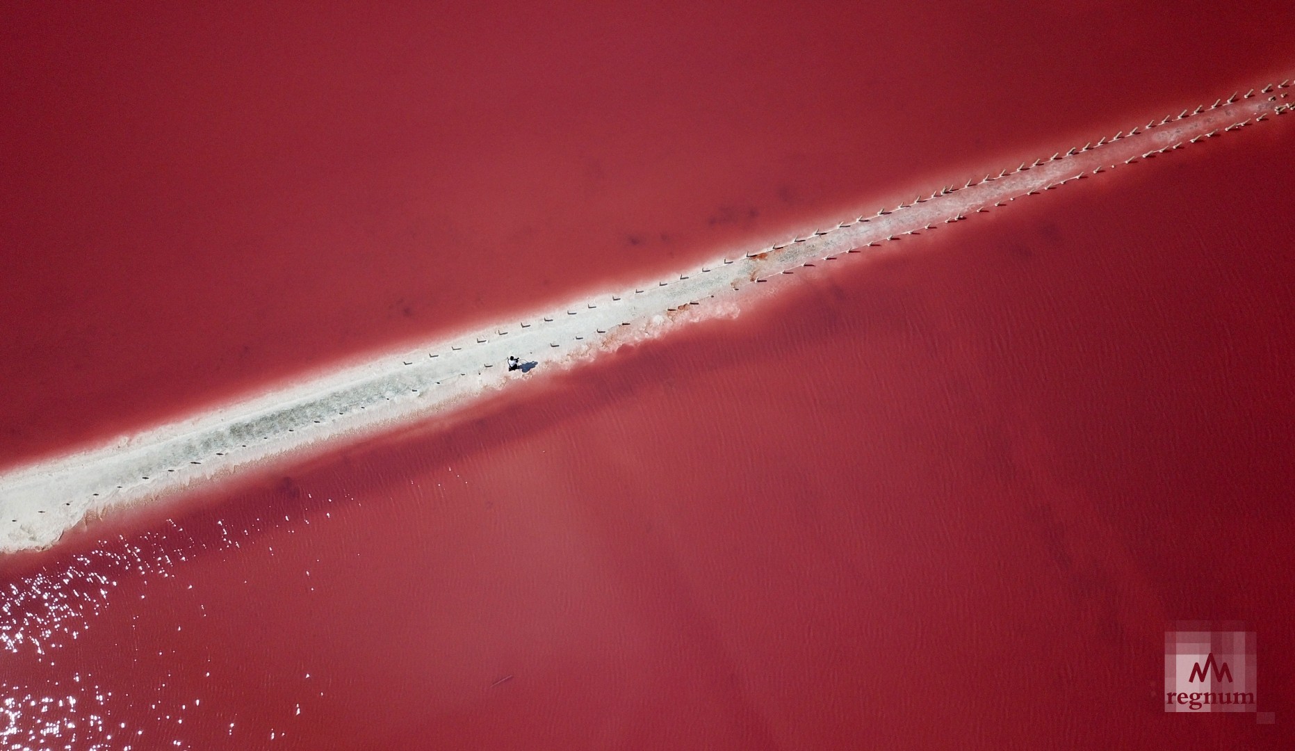 regnum_picture_16281104963119127_normal.