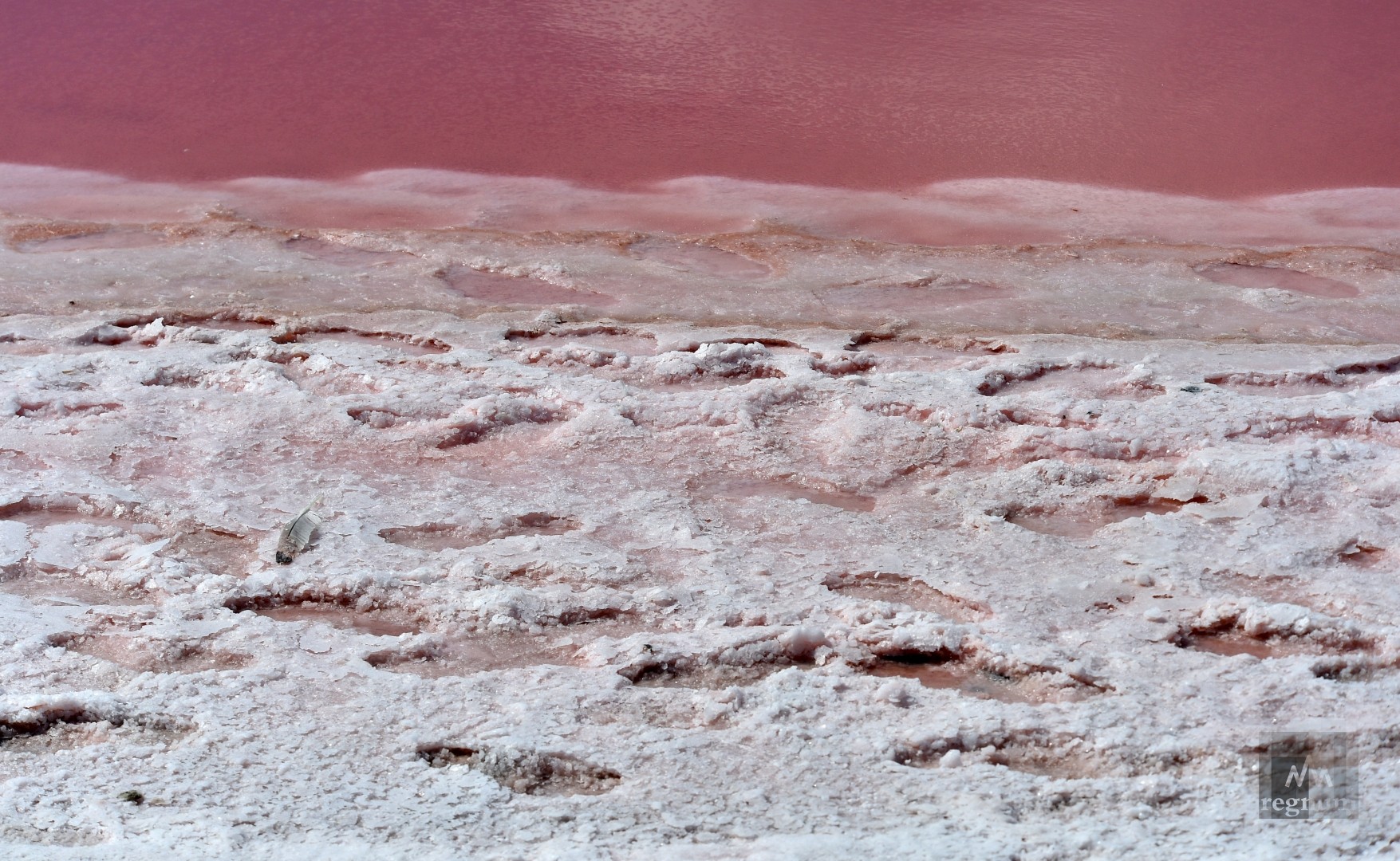 Розовая соль, грязь Поморье 20 км