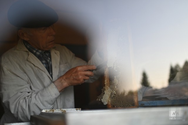 Алексей Михайлович вскрывает запечатанные соты перед откачкой мёда у себя дома