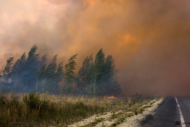 Лесной пожар в Марий Эл