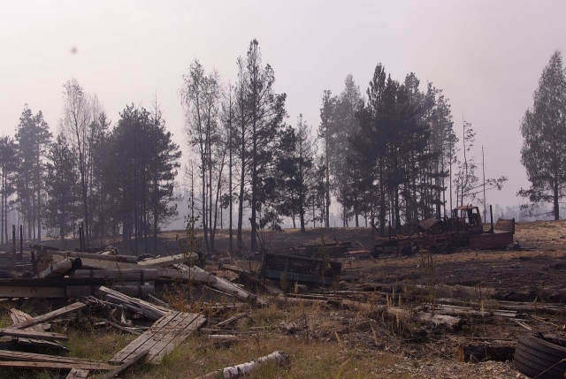 Последствия лесного пожара в Марий Эл