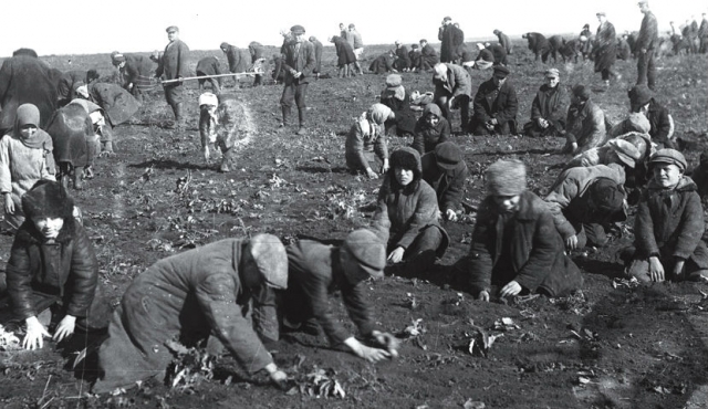 Голод в СССР. 1932–1933 гг.
