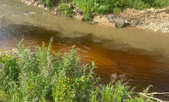 Загрязненная река 