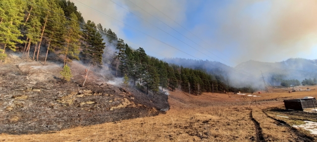 Лесной пожар в Горном Алтае