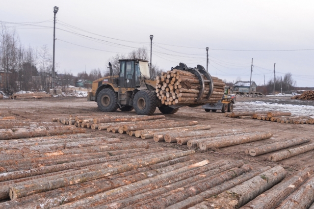 Заготовка древесины в Хабаровском крае