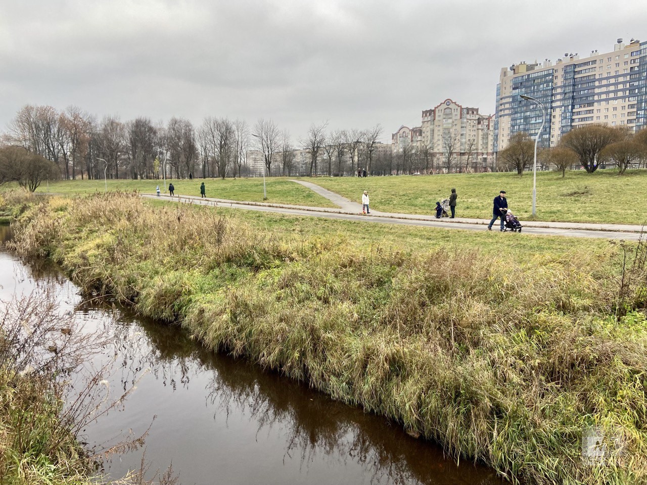 муринский парк петербург