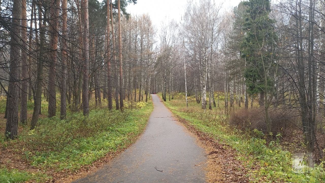 Павловская роща ярославль фото