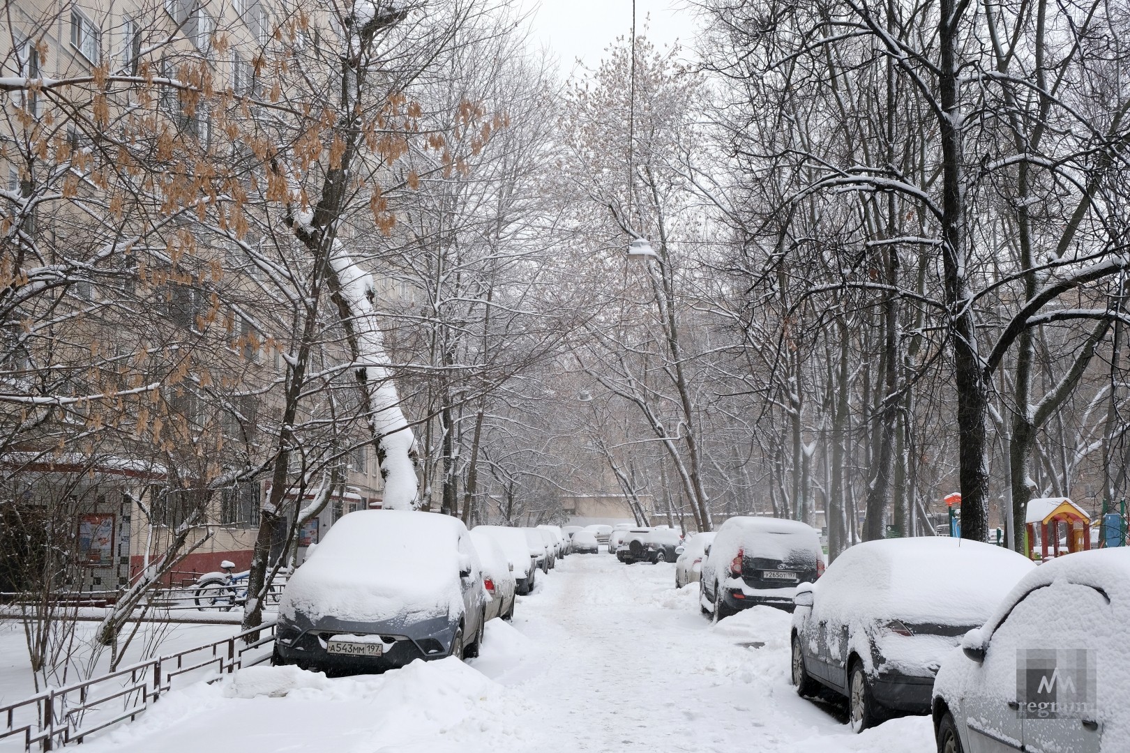 Почему сегодня снег. Снег в Москве. Московский снегопад. Москву накрыл снегопад. Сугробы в Москве.