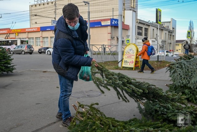 Елочные базары в челябинске. Елочный базар Екатеринбург 2022. Ёлочный базар прикольное фото. Елочный базар прикол. Елочные базары ВАО.