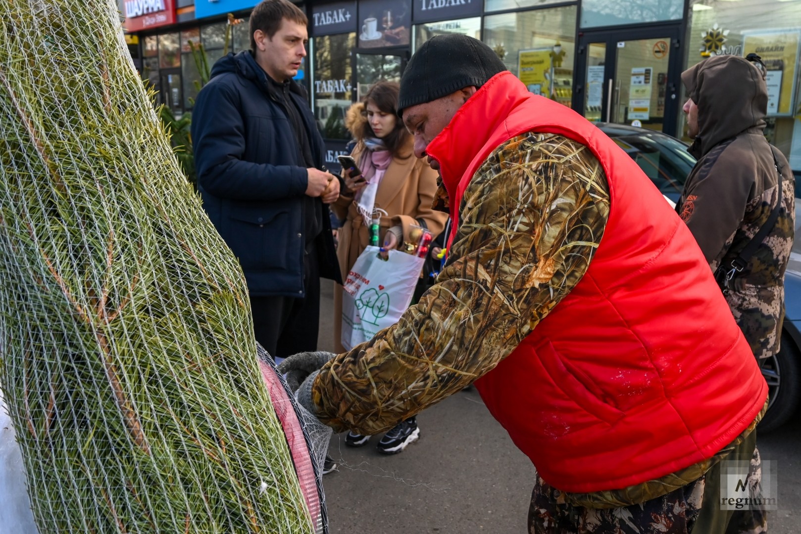 Елочный базар воронеж. Елочный базар продавец. Елочный базар.