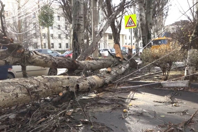 Ураган в крыму последние новости. Ураган в Крымске. Последствия урагана. Ураганный ветер. Ураган Митч последствия.